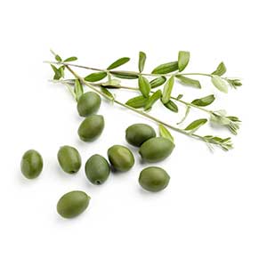 Phytosqualane Olives Ingredient